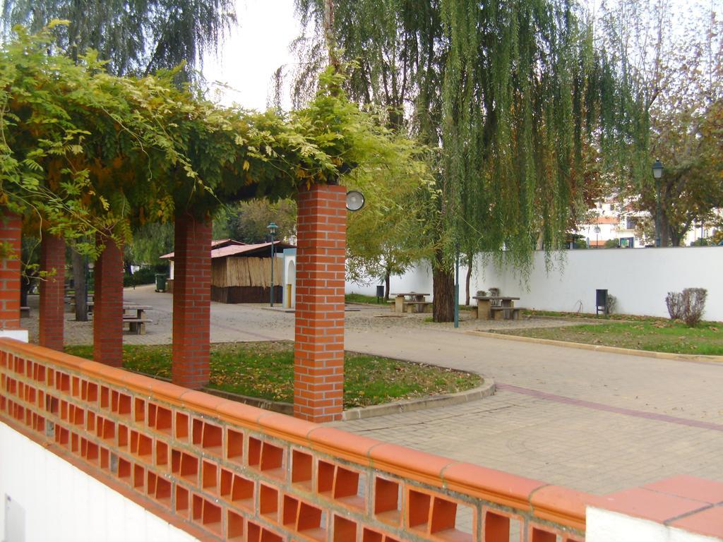 Casa Joao Chagas Guesthouse, Constancia, By Viva A Vida - Alojamentos E Hotels Rum bild